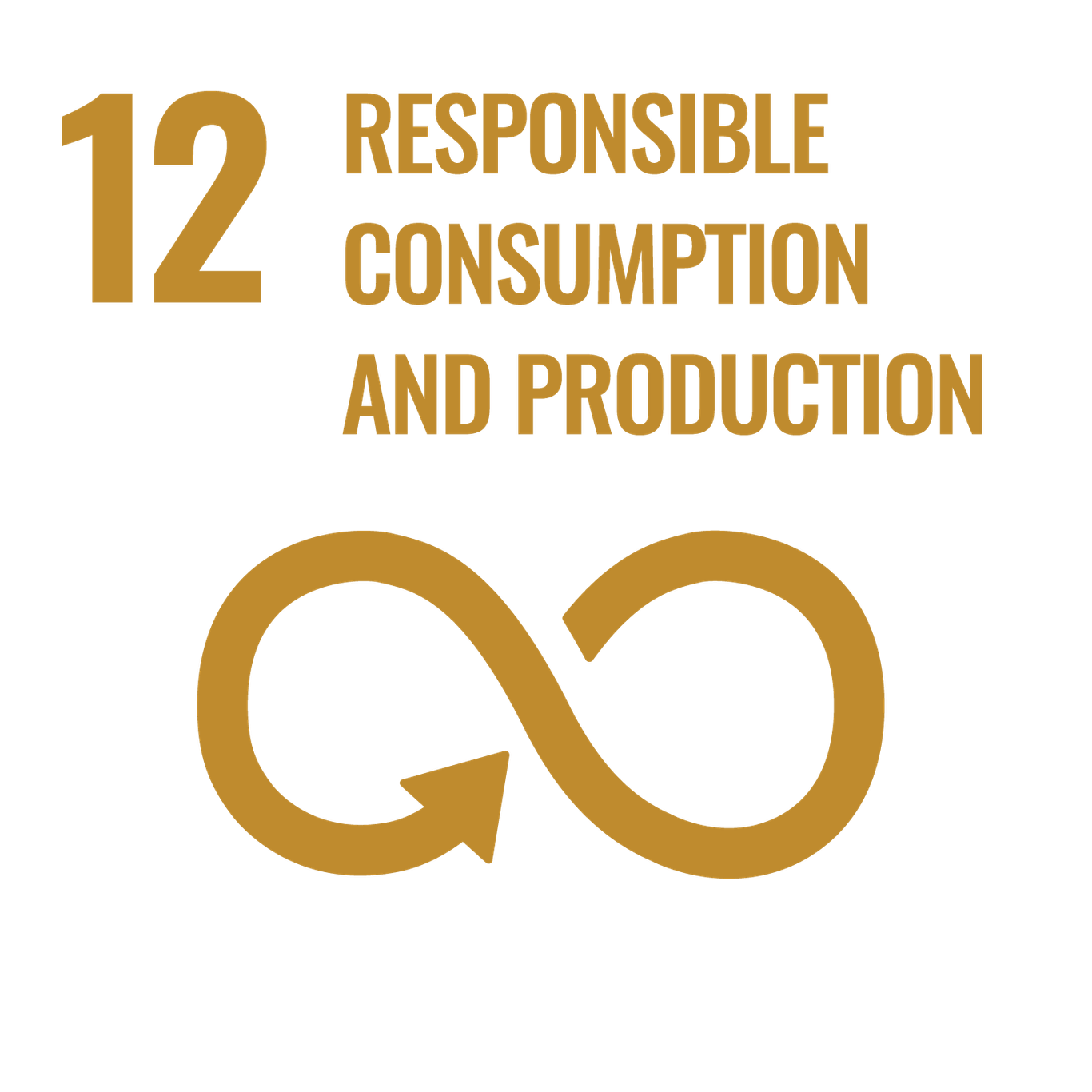 SDG icon 12 resposible consumption and production