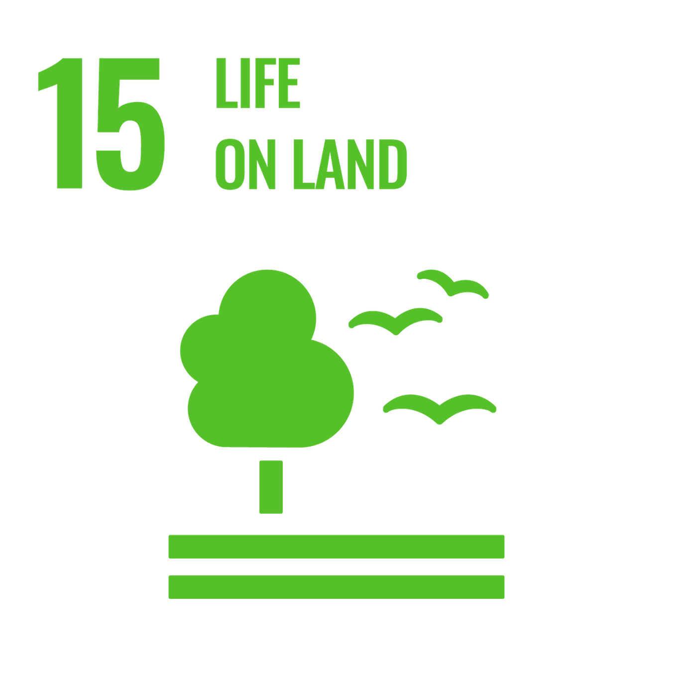 SDG icon 15 life on land